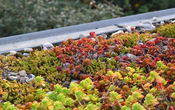 the cost of Bearsbridge green roof installation