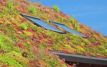 Bearsbridge living roof systems