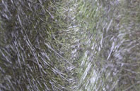 Bearsbridge fibreglass roof work